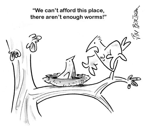 'We can't afford this place, there aren't enough worms!'