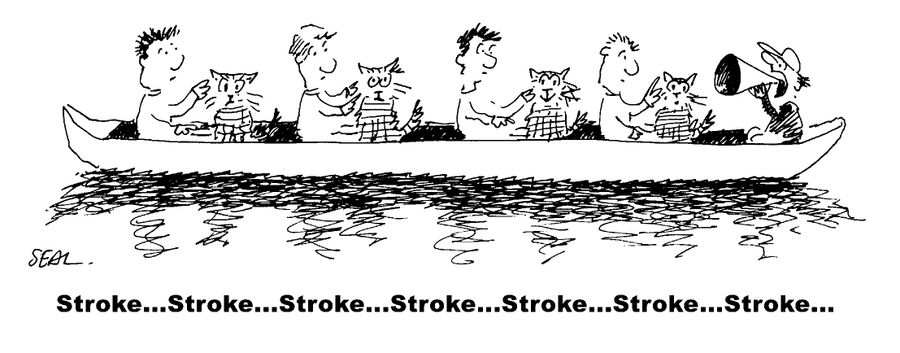Stroke...stroke...stroke...stroke...stroke...