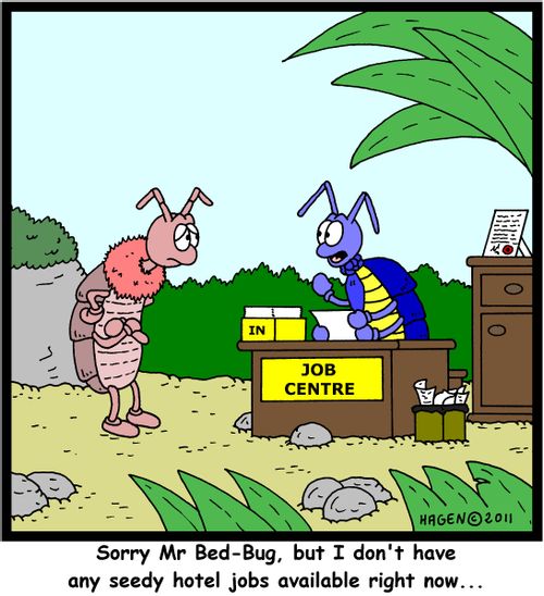 'Sorry Mr Bed-Bug, but I don't have any seedy hotel jobs available right now...'