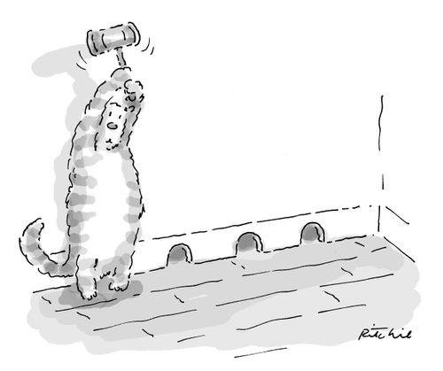 Cat with a mallet waiting for mouse to come out of one of 3 mouse holes.