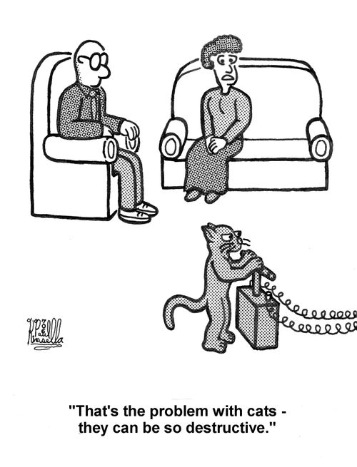 'That's the problem with cats - they can be so destructive.'
