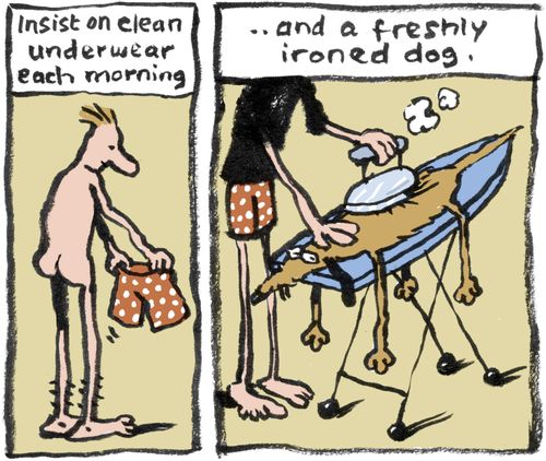 Putting insist on clean underwear each morning, and a freshly ironed dog.