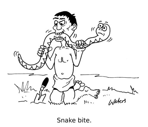 Snake bite.