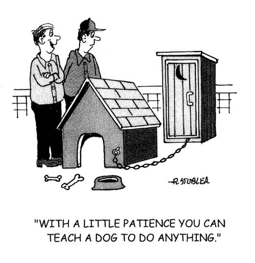 'With a little patience you can teach a dog to do anything.'
