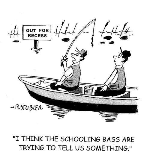 'I think the schooling bass are trying to tell us something.'