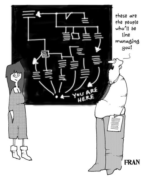 'These are the people who'll be line managing you.'