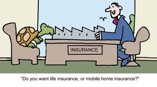"Do you want life insurance, or mobile home insurance?"