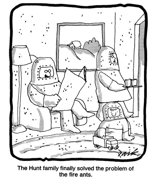 The hunt family finally solved the problem of the fire ants.