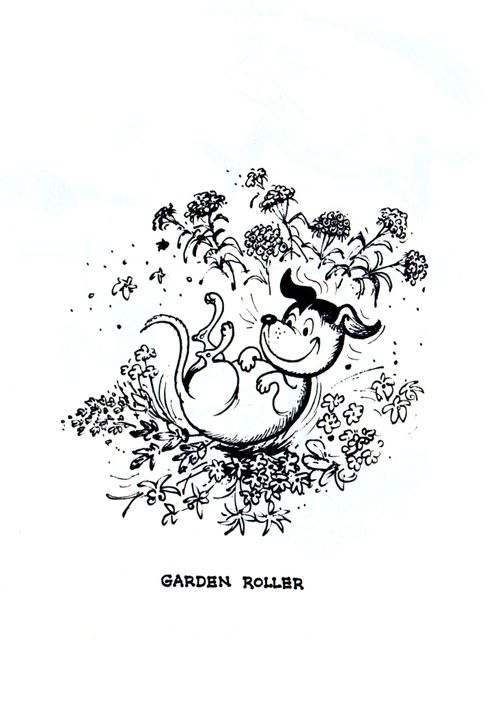 Garden Roller