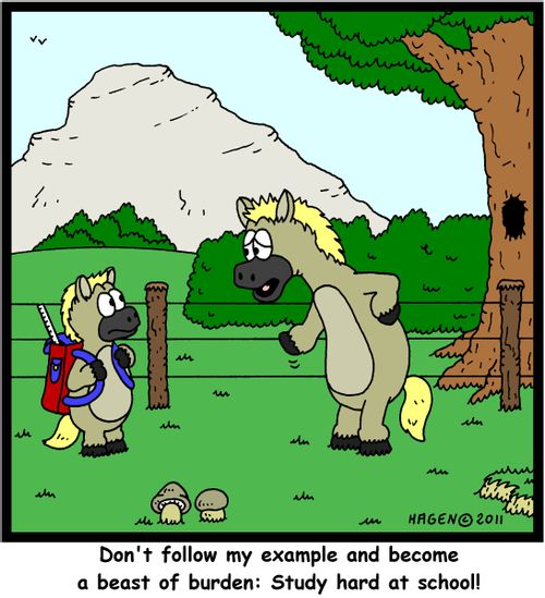 'Don't follow my example and become a beast of burden: Study hard at school!'