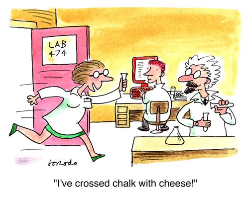 'I've crossed chalk with cheese!'