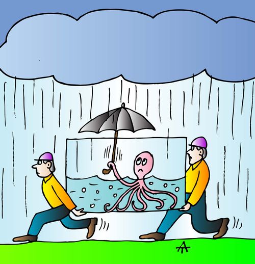 Rain.