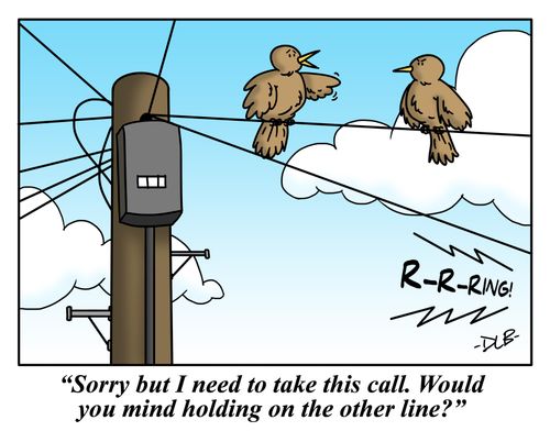 "Sorry but I need to take this call. Would you mind holding on the other line?"