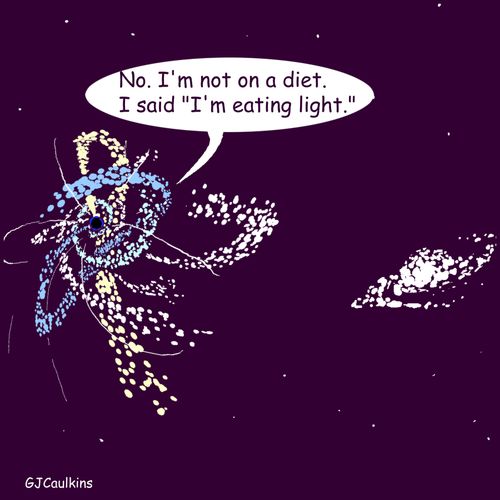 "No. I'm not on a diet. I said 'I'm eating light.'"