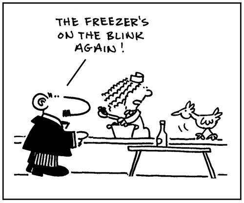 'The freezer's on the blink again.'