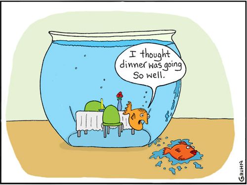 'I thought dinner was going so well!'