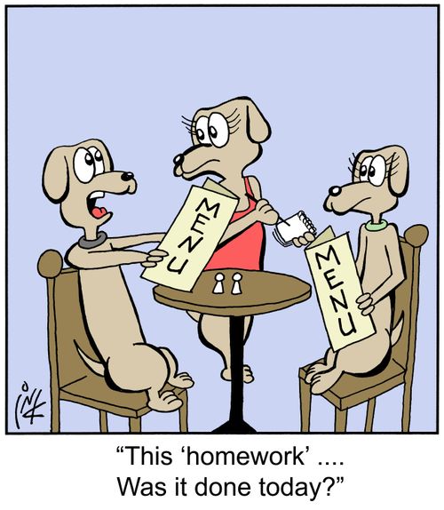 'This 'homework,' was it done today?'