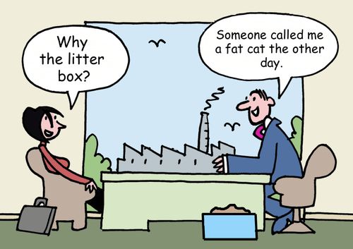 'Why the litter box?'