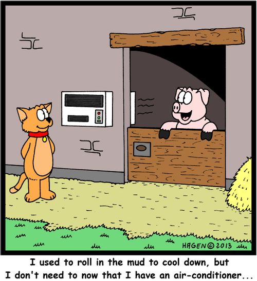 'I used to roll in the mud to cool down, but I don't need to now that I have an air-conditioner...'