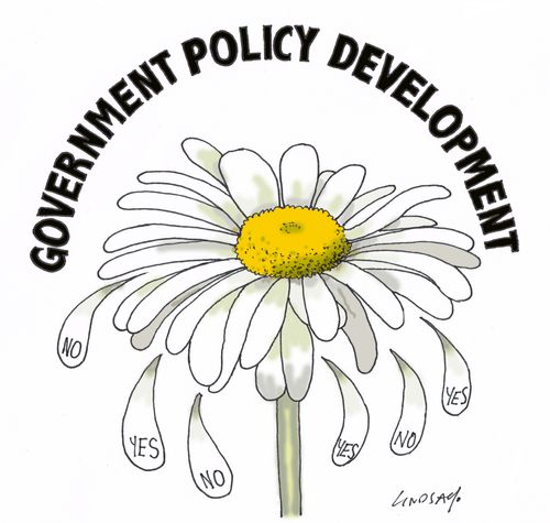 Government Policy Development 