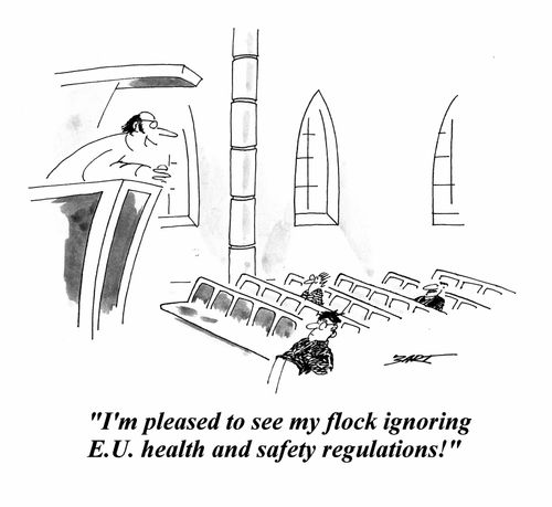 'I'm pleased to see my flock ignoring E.U. health and safety regulations!'