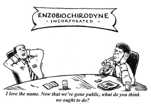 'I love the name. Now that we've gone public, what do you think we ought to do?'