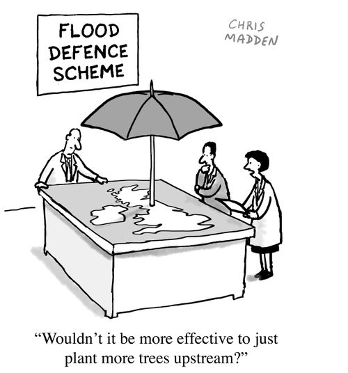 "Wouldn't it be more effective to just plant more trees upstream?"