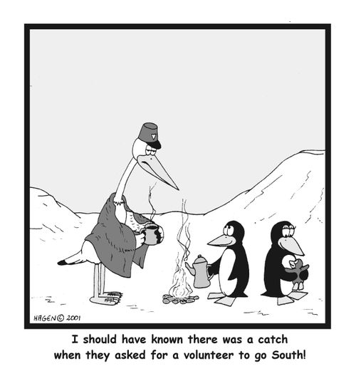 I should have known there was a catch when they asked for a volunteer to go South!