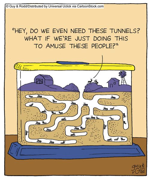 'Hey, do we even need these tunnels? What if we're just doing this to amuse these people?'