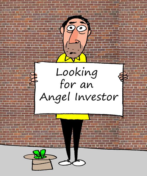 Looking for a Angel Investor