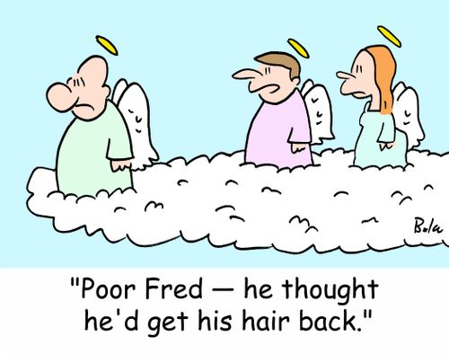 'Poor Fred -- he thought he'd get his hair back.'