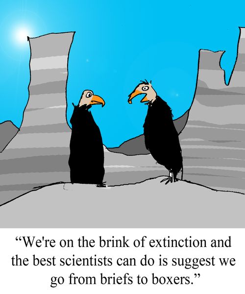 "We're on the brink of extinction and best scientists can do is suggest we go from briefs to boxers."