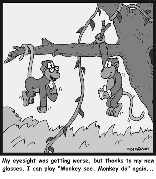 'My eyesight was getting worse, but thanks to my new glasses, I can play 'Monkey see, Monkey do' again...'