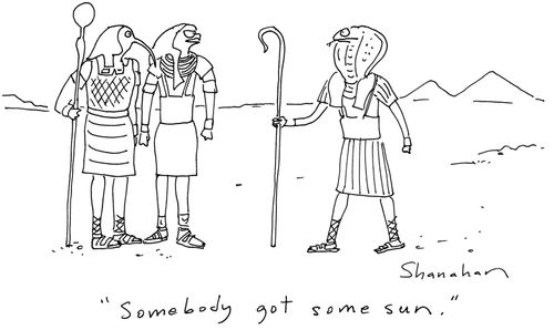 'Somebody got some sun.'