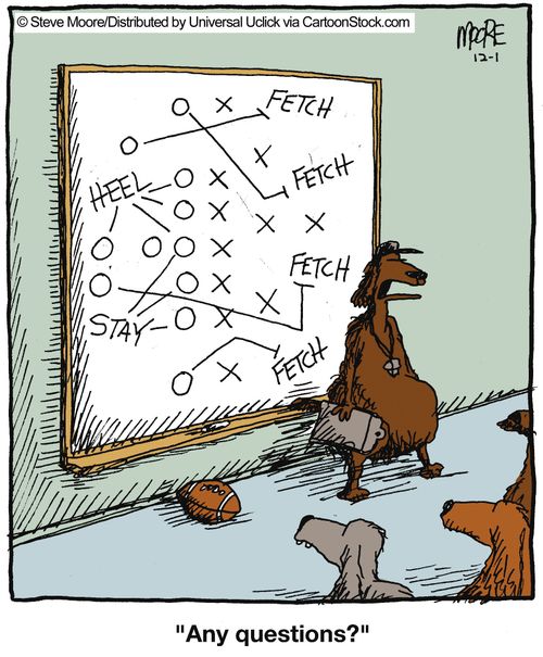 'Any questions?'