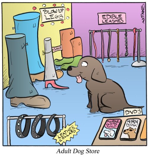 Adult Dog Store