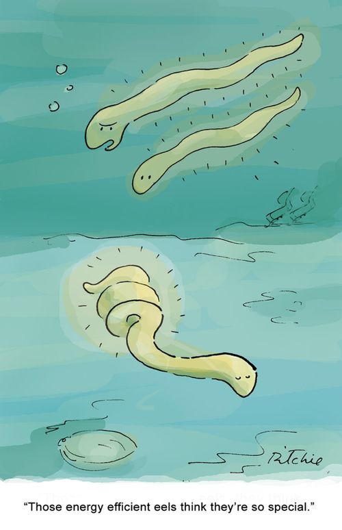 'Those energy efficient eels think they're so special.'