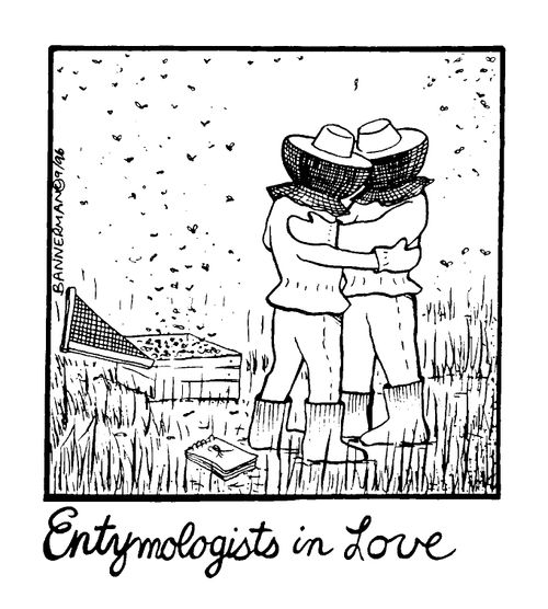 'Entymologists in love'
