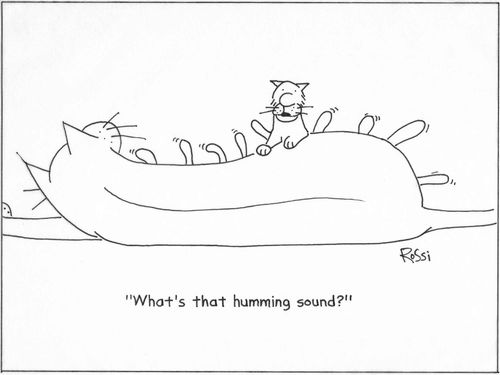 'What's that humming sound?'