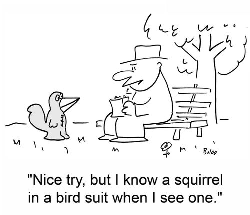"Nice try, but I know a squirrel in a bird suit when I see one."