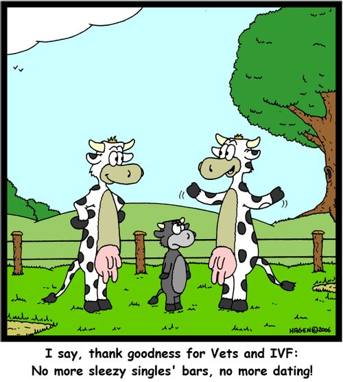 "I say, thank goodness for Vets and IVF: No more sleezy singles' bars, no more dating!"