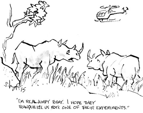 "I'm real jumpy today. I hope they tranquilize us for one of their experiments."