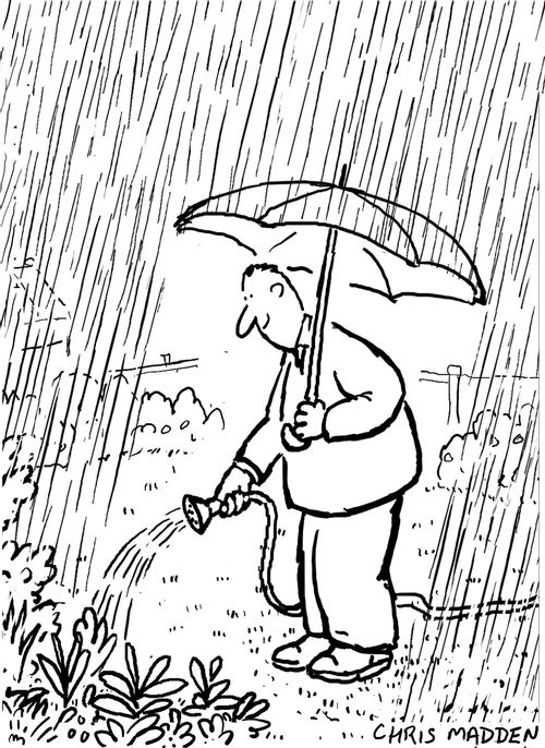 Watering garden in the rain