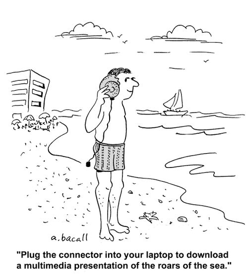 'Plug the connector into your laptop to download a multimedia presentation of the roars of the sea.'