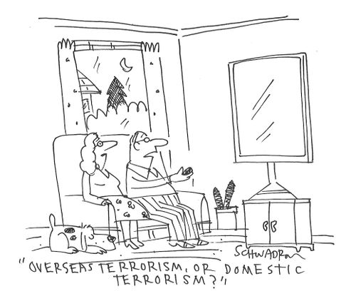 "Overseas terrorism, or domestic terrorism?"