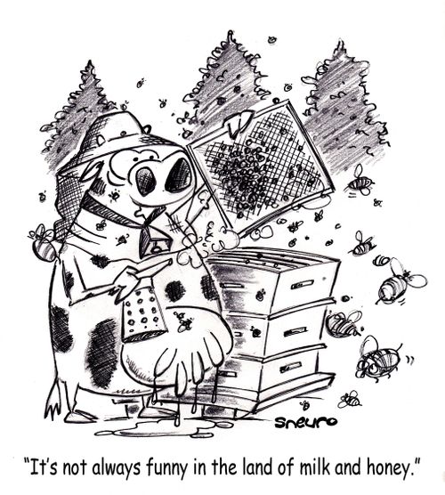 "It's not always funny in the land of milk and honey."