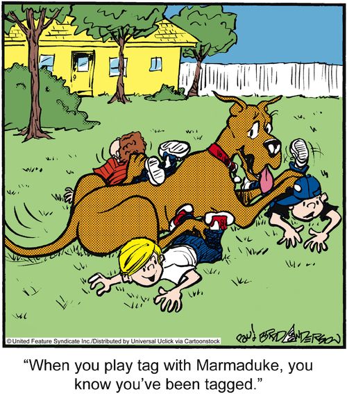 'When you play tag with Marmaduke, you know you've been tagged.'