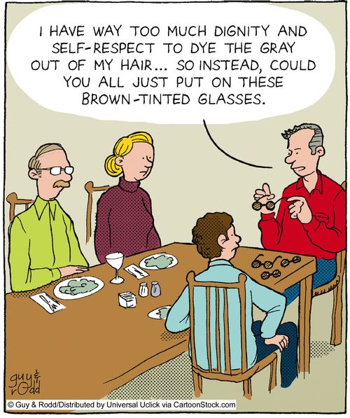 'I have way too much respect and dignity to dye the grey out of my hair... so instead could you all just put on these brown-tinted glasses.'