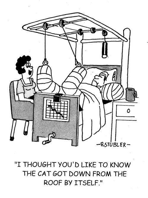 'I thought you'd like to know the cat got down from the roof by itself.'