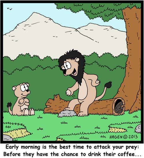'Early morning is the best time to attack your prey: Before they have the chance to drink their coffee...'
